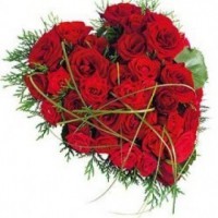 Corazon de rosas rojas 
